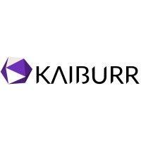 kaiburr logo image