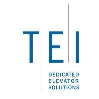 tei group logo image