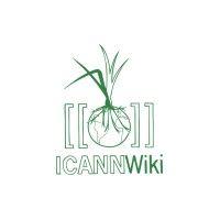 icannwiki logo image