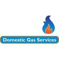 domestic gas services logo image