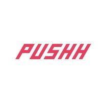 pushh pahnke und schwieger gmbh logo image