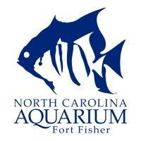 north carolina aquarium at fort fisher