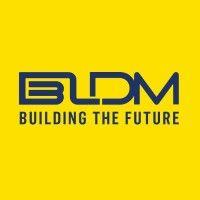 bldm, llc logo image