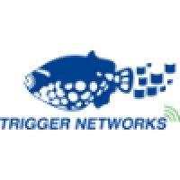 trigger networks logo image