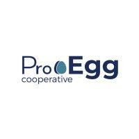 proegg logo image