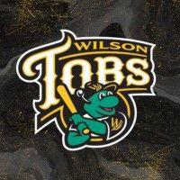 wilson tobs baseball llc