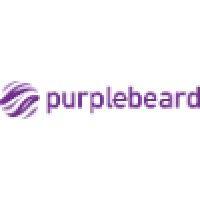 purplebeard logo image