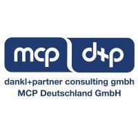 dankl+partner consulting gmbh logo image