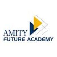 amity future academy logo image