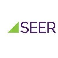 seer analytics, llc