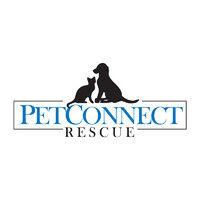 petconnect rescue logo image