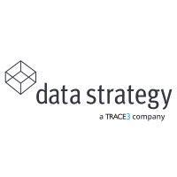 data strategy logo image