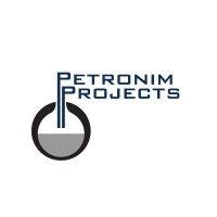 petronim projects logo image