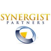 synergist partners