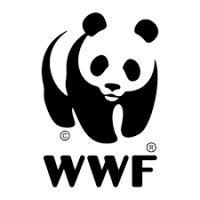 världsnaturfonden wwf / wwf sweden logo image