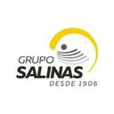 logo of Grupo Salinas