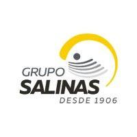 grupo salinas logo image