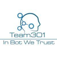 team301 logo image