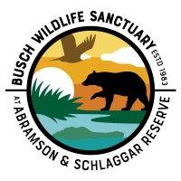 busch wildlife sanctuary logo image