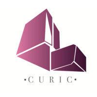 cityu research and investment club logo image