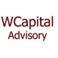 wellington capital advisory logo image