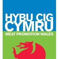 hybu cig cymru - meat promotion wales logo image