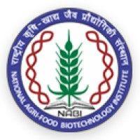 national agri-food biotechnology institute (nabi) logo image