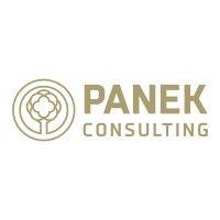 panek.consulting