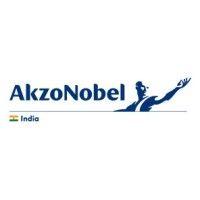 akzonobel india limited (dulux paint) logo image