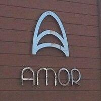 amor company logo image