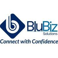 blubiz solutions logo image