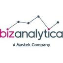 logo of Bizanalytica