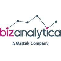 bizanalytica logo image