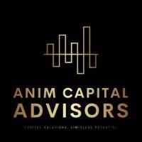 anim capital advisors logo image