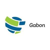 iia gabon logo image