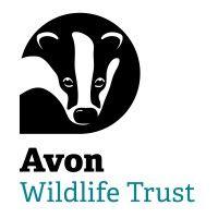 avon wildlife trust logo image