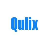 qulix logo image