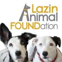 lazin animal foundation inc.