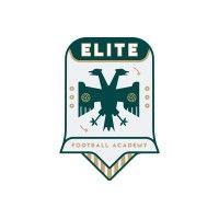 elite football academy logo image