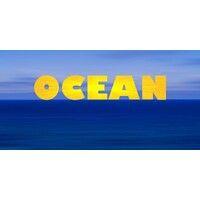 ocean - orange county executives & networkers logo image