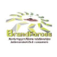 brandforces consulting logo image