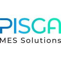 pisga mes solutions logo image