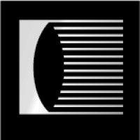 younger optics logo image