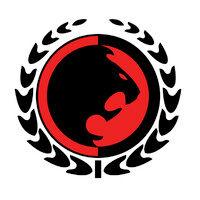 ralph gracie jiu-jitsu academy logo image