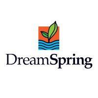 dreamspring logo image