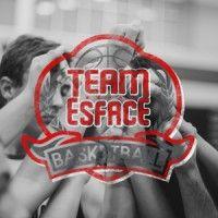 team esface basketball academy logo image