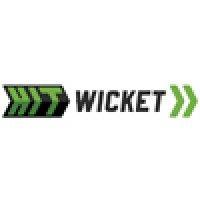 hit wicket logo image