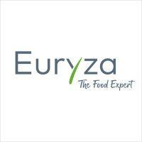 euryza gmbh logo image