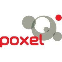 poxel logo image