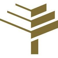 stonetree law logo image